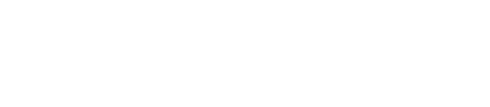 Enterprise Logo White